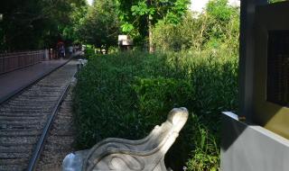 某年某月某一天歌词