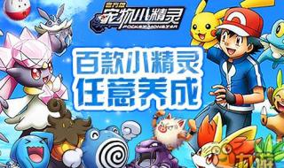 小宠物对战 小宠物对战